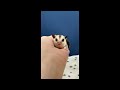フクロモモンガのYouTubeサムネイル画像