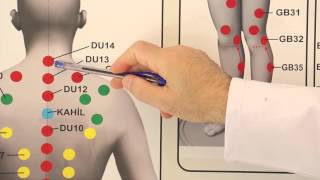 Tarama Hacamatı Nedir - Süleyman Gök