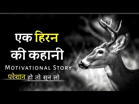 एक हिरन की कहानी ❤ | सभी परेशानी का हल हैं ये 1 वीडियो | #motivationalstory #motivation #viralvideo