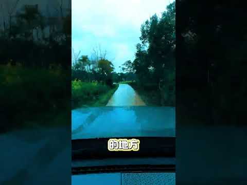 带你玩泥巴|全新BJ40魔核电驱版 成都双流区九倒拐越野车玩泥巴，导航森林阳光直达。#魔核动能越极巅峰 #硬派越野 #全新BJ40魔核电驱版 #双流 #泥巴路