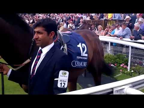 2015 Nunthorpe Stakes York Mecca's Angel Acapulco Paddock
