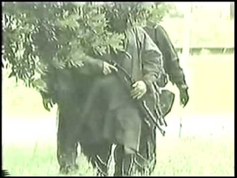 NZ Gang Classic's #5 - Mongrel Mob - Wairoa.avi