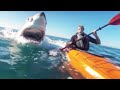 If You're Scared of Sharks, Don't Watch This Video!
