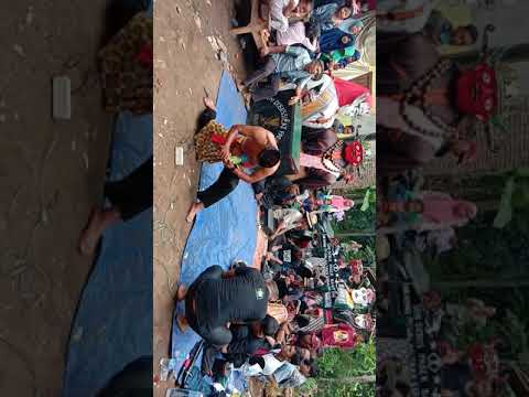 Koleksi Dbus pagar banten oyo plangton