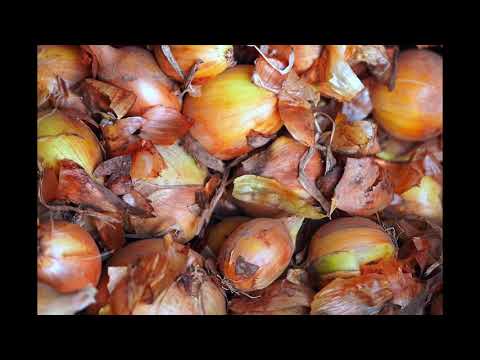 OTE, Christine Smit - Nothing Can Save Me (1970s Pop)