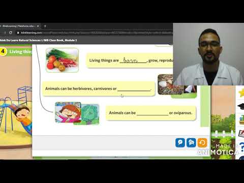 VIDEO 03 - SCIENCE REVIEW