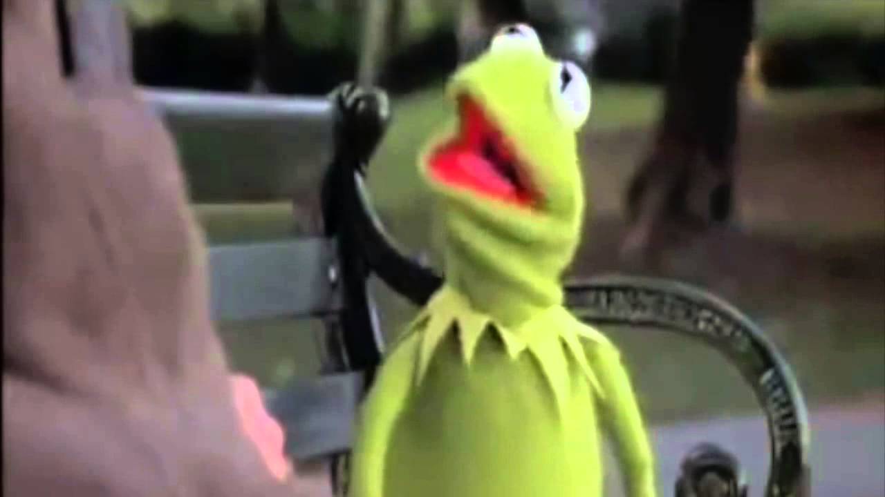 Kermit the Frog: You are 100 Percent Wrong