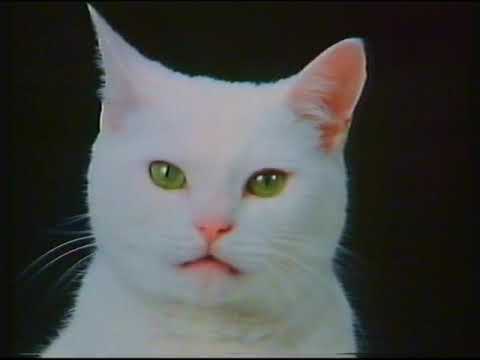 ITV HTV (Wales) | continuity and HTV Wales News | New Year's Eve 1990 | Part 3 of 3