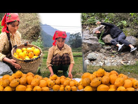 A single mother picking Nekima berries to sell was unaware of the stranger's situation in the forest
