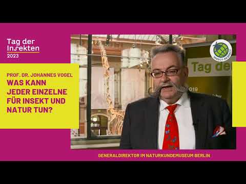 Tag der Insekten 2023 Online Auftakt mit: Prof. Dr. Johannes Vogel