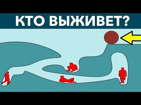 5 ХИТРЫХ ЗАГАДОК И ГОЛОВОЛОМОК, КОТОРЫЕ СЛОМАЮТ МОЗГ