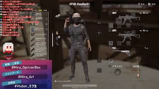 一人寂しくPUBGソロ