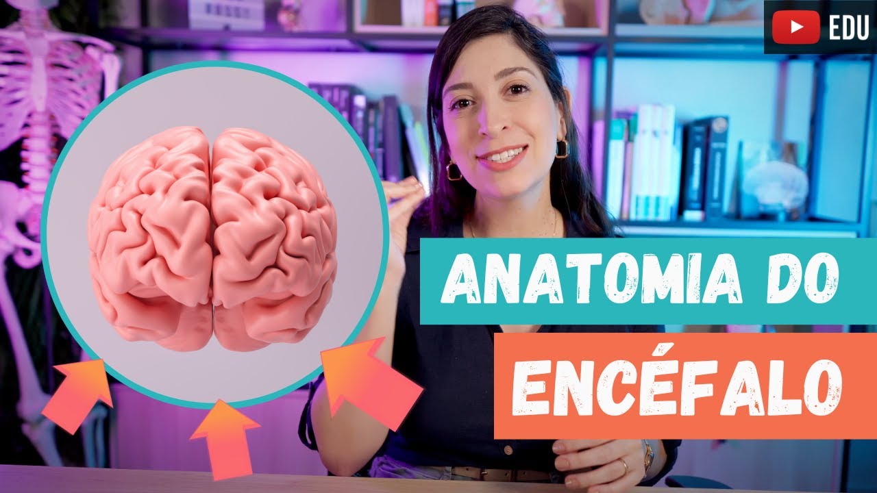 O'que é Anatomia Intracerebral