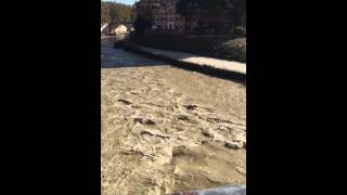 Tiber river flowing through Rome