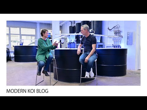 Modern Koi Blog #5053 - Auf welche Minimalgröße wachsen Koi immer