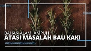 Ini Cara Ampuh untuk Mengatasi Masalah Bau Kaki dengan Bahan yang Alami