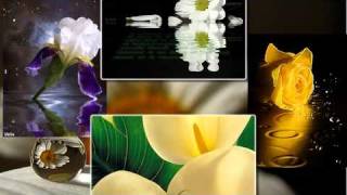 Martin Stenmarck - Not a day goes by...without you feel special, Pusa