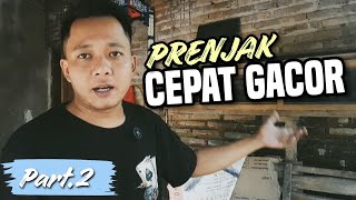 Download lagu CARA MENAIKAN BIRAHI BURUNG PRENJAK AGAR CEPAT GACOR part.2 mp3