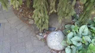 Running Landscape Wiring for Dummies