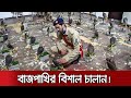 ৭৪টি বাজপাখি পাচার হচ্ছিলো মধ্যপ্রাচ্যে ধরলো পাকিস্তান পুলিশ falcon smuggling