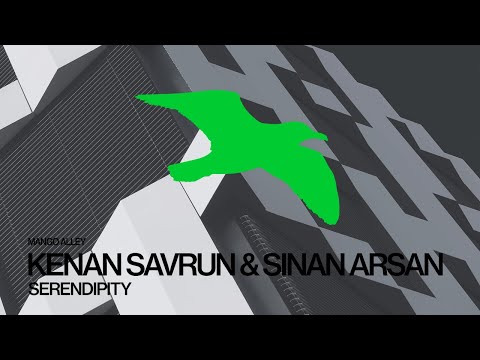 KENAN SAVRUN & SINAN ARSAN Serendipity