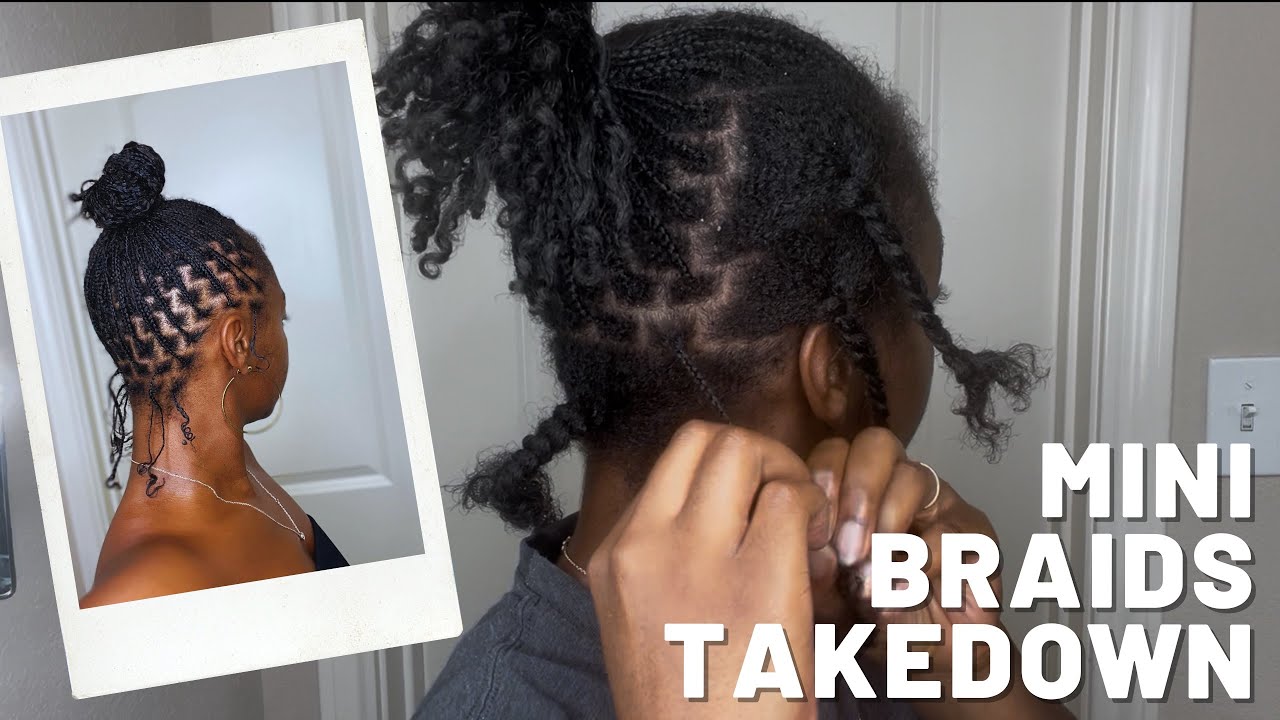 Mini Braids TAKEDOWN | Answering All Your Questions 
