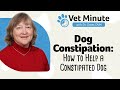 Vet Minute How To Help A Constipated Dog
