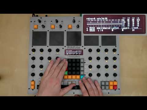 PolyPulse: workflow overview