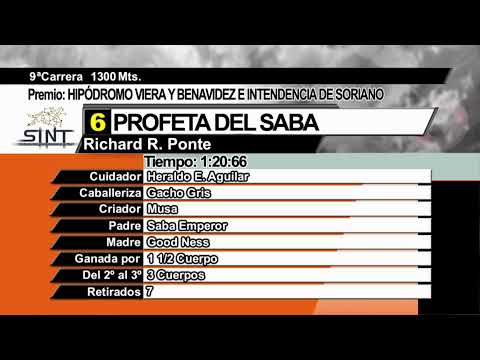 CARRERAS SINT COLONIA 30 DE OCTUBRE DE 2022