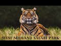 The Ultimate Guide To West Midlands Safari Park 2025