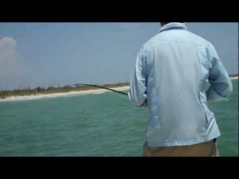 download lagu mp3 mp4 Boca Grande Tarpon Guides, download lagu Boca Grande Tarpon Guides gratis, unduh video klip Boca Grande Tarpon Guides