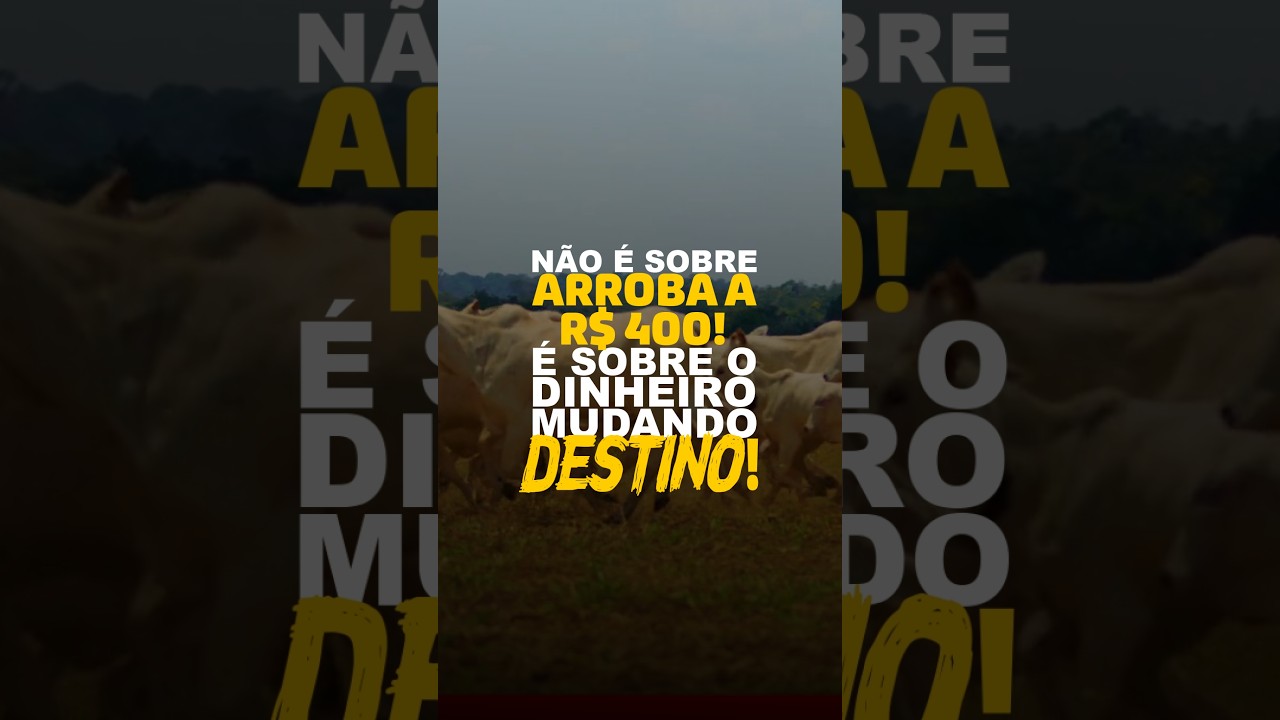NÃO É SOBRE ARROBA A R$ 400! É SOBRE O DINHEIRO MUDANDO DESTINO!
