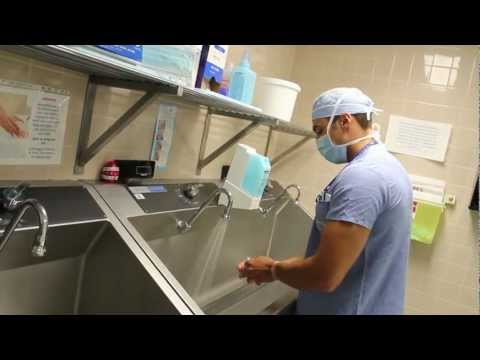 Orthopaedic Surgery at Queen's University