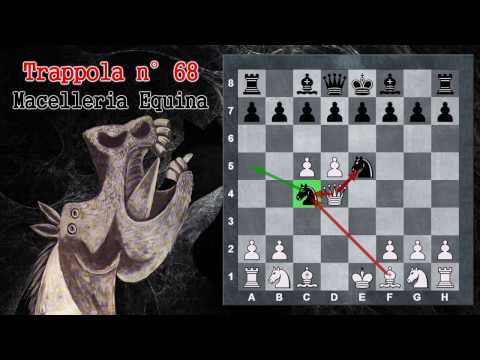 Trappole in Apertura 68 - Scacchi - Macelleria Equina - Difesa Alekhine 3. ... Cc6