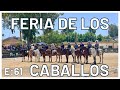 E61 The Horse Festival Feria De Los Caballos