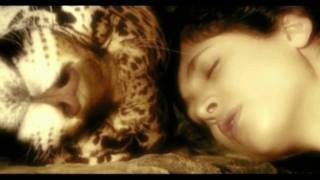 Enya - Evening Falls (HD)