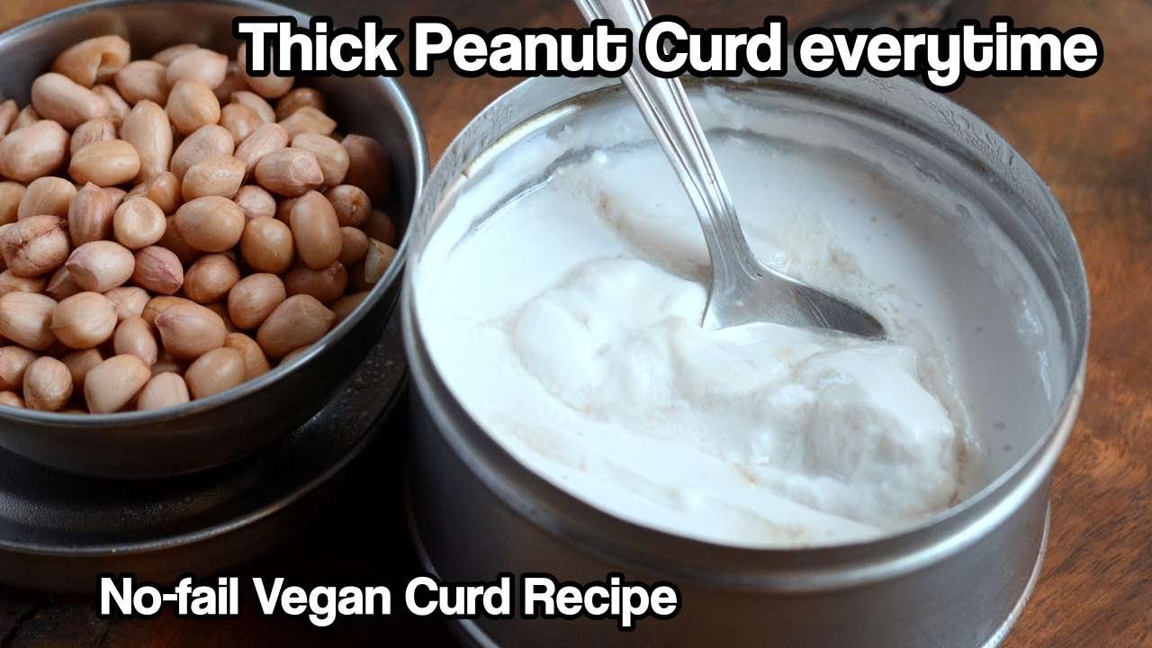 Make Thick Peanut Curd Every time without Fail-Vegan Curd-Peanut Curd at Home-Cheap n Best