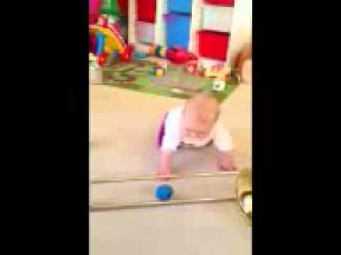 Sabotage, Dog ruins first baby crawl!