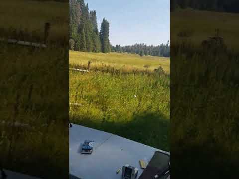 Pump Action .22lr (Remington 572 Fieldmaster First Shots)