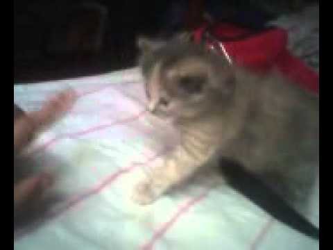 la hija de la coca!!