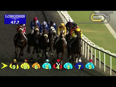 18.12.2013 Meydan (Dubai-UAE) 3.Race The Dubai Creek Mile - Conditions 1.600 m