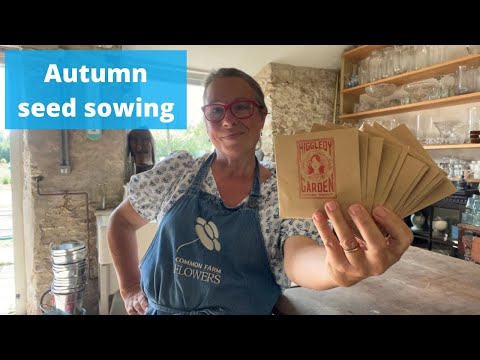 Top tips for sowing seed in the autumn for spring flowers