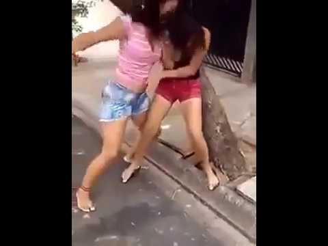 Cat girl fight on girl Newsflare