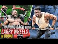 Ulisses Training Back with Larry Wheels in Dubai