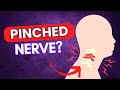 Is Your Neck, Shoulder & Arm Pain from a Pinched Nerve or Muscle?