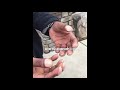 Savage Dude Roasts A Man With Weird Looking Fingers Yo Azz Got Pregnant Seashells On Your Finger