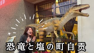 【旅行vlog】恐竜と塩の町“自贡”行ってきた。