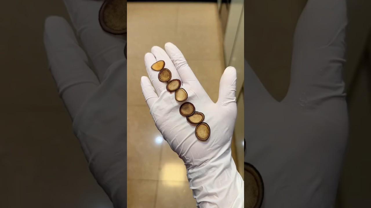 #滋补养生 #食疗小妙招 #广东靓汤 #养生 #养生就是养健康