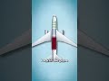 The Plane That Crashed On Purpose EXPLAINED