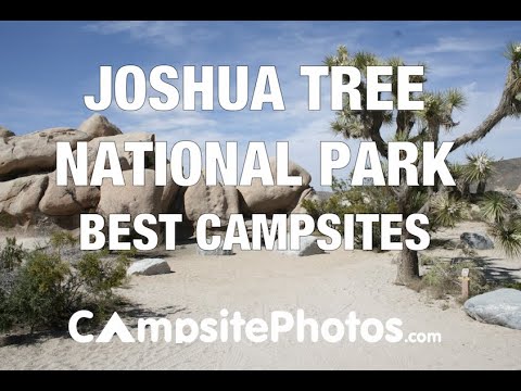 image-Are trailers allowed in Joshua Tree?